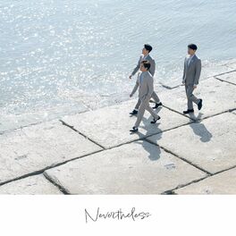 Album cover of Nevertheless