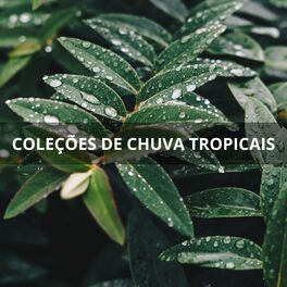 Album cover of Coleções De Chuva Tropicais