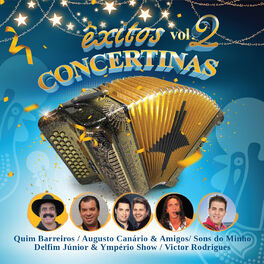 Album cover of Êxitos Concertinas Vol.2