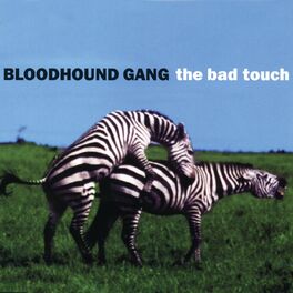 Album cover of The Bad Touch