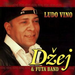 Album cover of Ludo vino