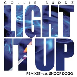 Album cover of Light It Up (Remix Bundle)