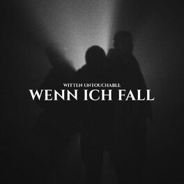 Album cover of Wenn ich fall'