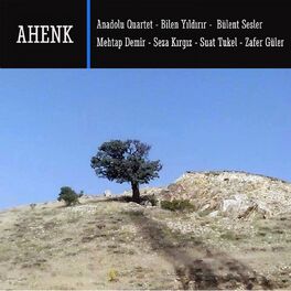 Album cover of Ahenk