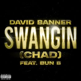 Album cover of Swangin (Chad)