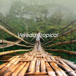 Album cover of Vereda Tropical