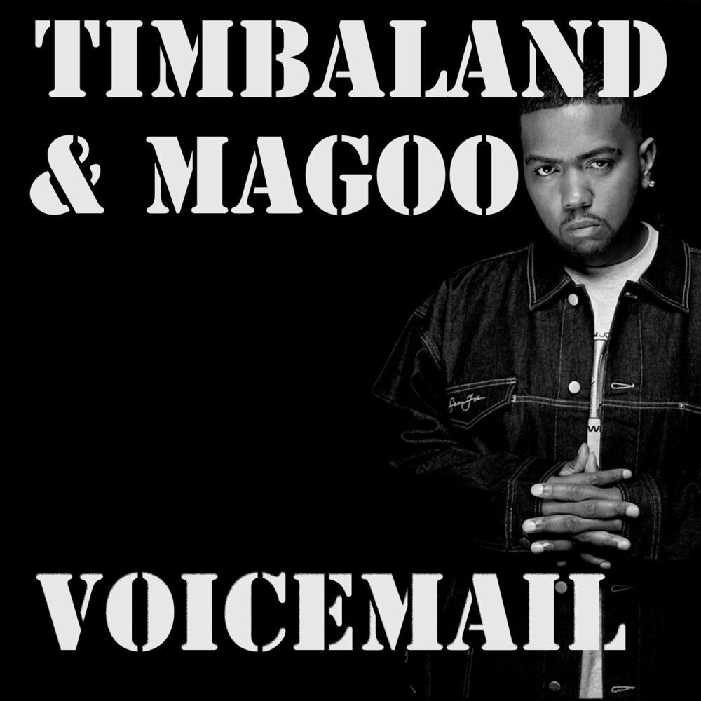 Песня are timbaland the. Timbaland album. Timbaland в золоте.