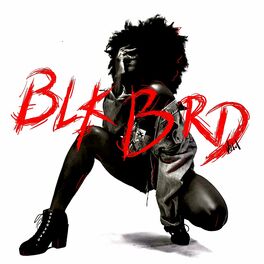 Album cover of BLK BRD, Vol. 1