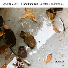 Album cover of Franz Schubert: Sonatas & Impromptus