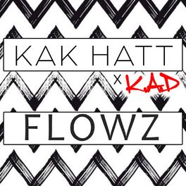 Album cover of Flowz