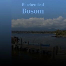 Album cover of Biochemical Bosom