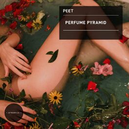 Album cover of Perfume Pyramid