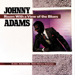 Album cover of Room With A View Of The Blues