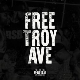 Album cover of Free Troy Ave