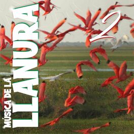 Album cover of Música de la Llanura 2