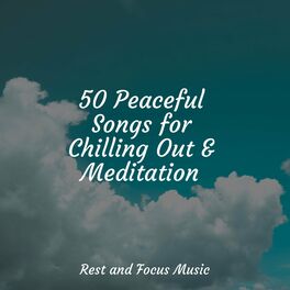 Album cover of 50 Peaceful Songs for Chilling Out & Meditation