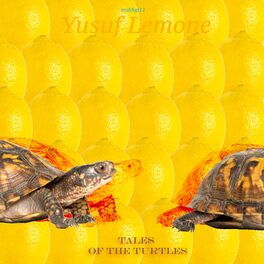 Album cover of Tales of the Turtles