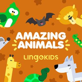 Lingokids Days of the Week Lyrics