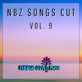 Album cover of Nbz Songs Cut, Vol. 9