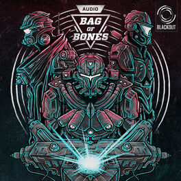 Album cover of Bag of Bones