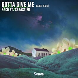 Album cover of Gotta Give Me (feat. Sebastiën) (HADES Remix)