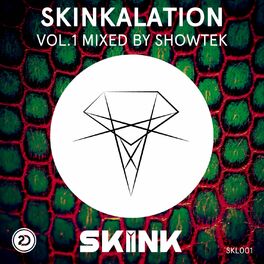 Album cover of Skinkalation Vol.1 Mixed by Showtek
