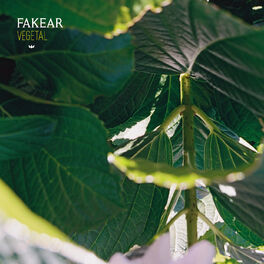 Album cover of Vegetal