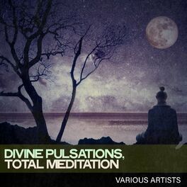 Album cover of Divine Pulsations, Total Meditation