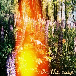 Album cover of On the cusp