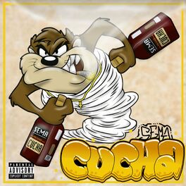 Album cover of Cucha