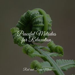 Album cover of Peaceful Melodies for Relaxation