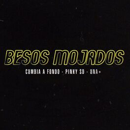 Album cover of Besos Mojados