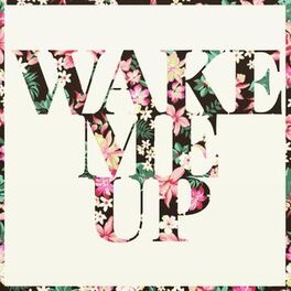 Album cover of Wake Me Up