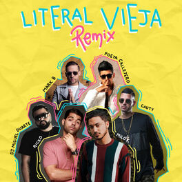 Album cover of litEral viEja (Remix)