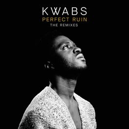 Album cover of Perfect Ruin (Remixes)
