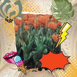 Album cover of Fashionable Background for Relaxing Nite