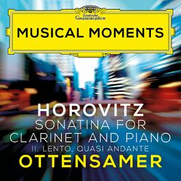 Album cover of Horovitz: Sonatina for Clarinet and Piano: II. Lento, quasi andante (Musical Moments)