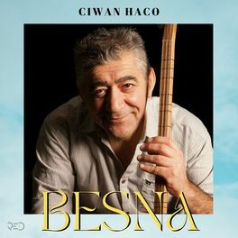 Album cover of Besna