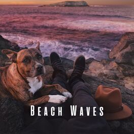 Album cover of Beach Waves: Rain Meditation Rhythms for Dogs
