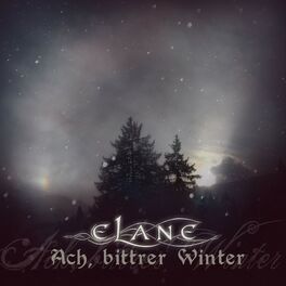 Album cover of Ach, bittrer Winter