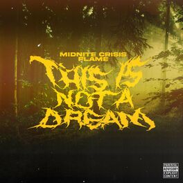 Album cover of NOT A DREAM (feat. FLAME)