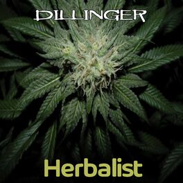 Album cover of Herbalist