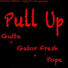 Album cover of Pull Up (feat. Gator Fresh & Pope)