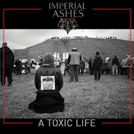 Album cover of A Toxic Life
