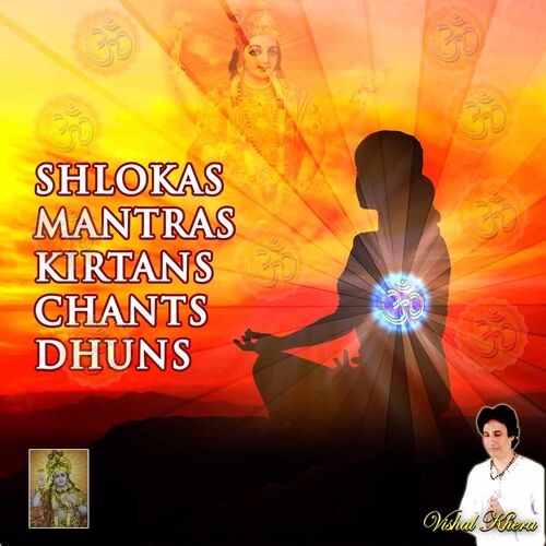 Vishal Khera - Sarve Bhavantu Sukhinah Mantra Jaya Jaya Guru Om Shiv Om  Kirtan: listen with lyrics | Deezer