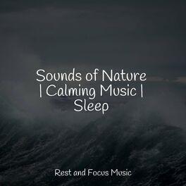 Album cover of Sounds of Nature | Calming Music | Sleep