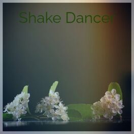 Album cover of Shake Dancer