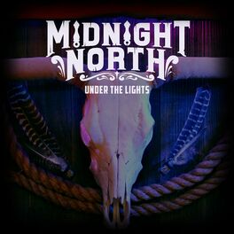 Album cover of Under the Lights