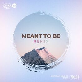 Album cover of Meant To Be Remix （Synth Alley Remix计划合辑系列 Vol.1）