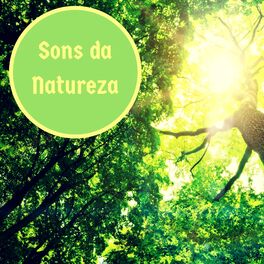 Album cover of Sons da Natureza - Som do Oceano para Relaxar, Bem-Estar e Serenidade Profunda